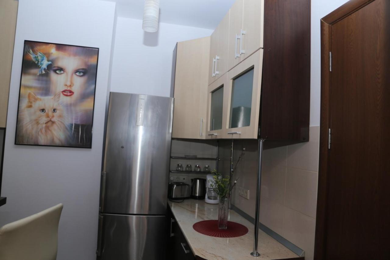 Balcescu Alina'S Apartament Hermannstadt Exterior foto